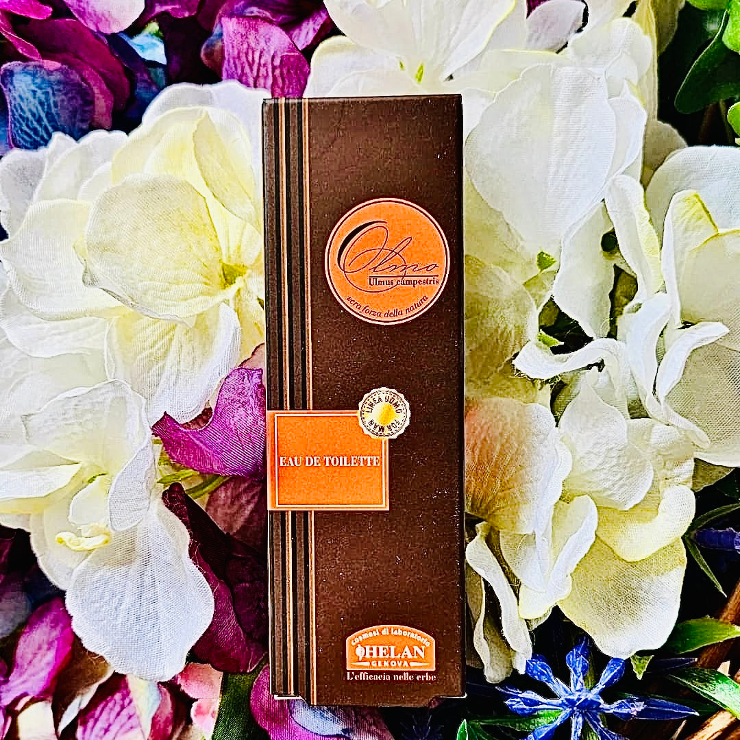 Forza, resistenza alle avversità del clima, grande longevità, ma anche eleganza e imponenza...un fascino frutto di grande equilibrio, nei pratici 10mL
Nota Olfattiva: Fresca, Aromatica, Fougère